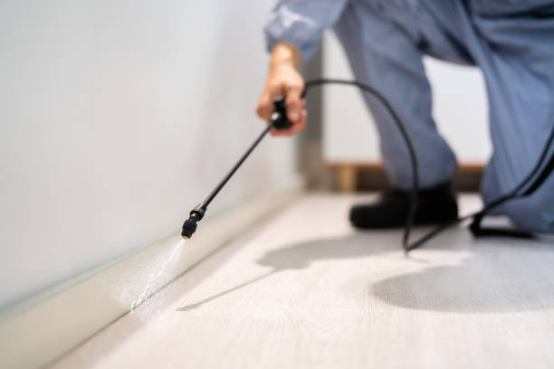 Rodent Entry Point Assessment in Naples Manor
