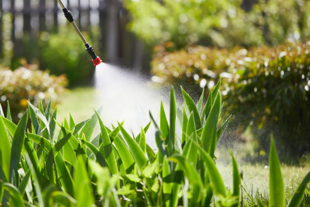 Tamper-Resistant Bait Stations for Rodents in Naples Manor