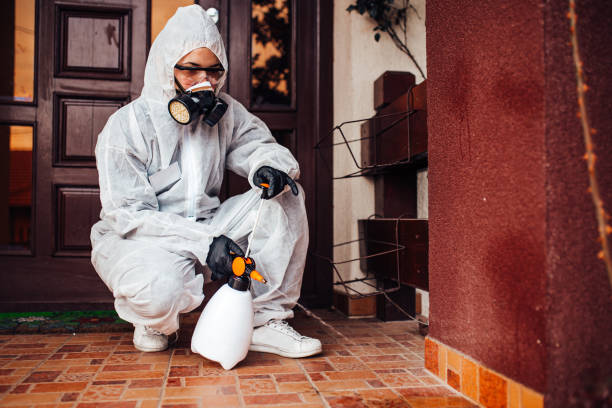 Attic and Crawl Space Rodent Treatment in Naples Manor