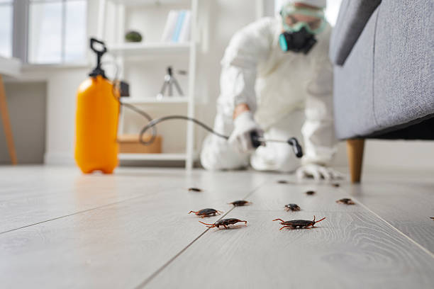 Commercial Rodent Management in Naples Manor